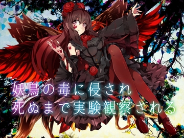 【逆リョナ】妖鳥の毒に侵され死ぬまで実験観察される【ASMR】 [フロントアリス]