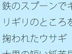 鉄のスプーンでギリギリのところを掬われたウサギ 大男の短い紙芝居