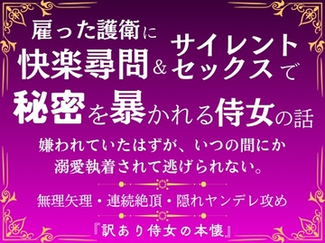 訳あり侍女の本懐 [市街地]