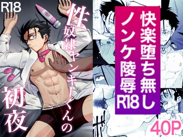 性奴○ヤンキーくんの初夜 [二段階左折]