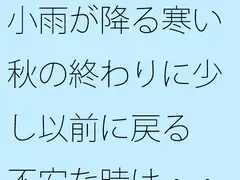 小雨が降る寒い秋の終わりに少し以前に戻る 不安な時は・・・・・
