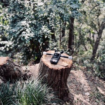 20240214 02:55pm 散在ガ池森林公園 [FLAC] [UZrecords]