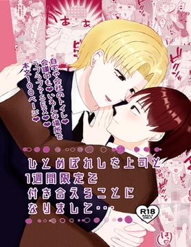 ひとめぼれした上司と1週間限定で付き合えることになりまして… [こめこのぱんこうじょう]
