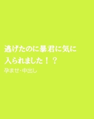 逃げたのに暴君に気に入られました!? [ほりのや]