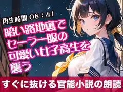 暗い路地裏でセーラー服の可愛い女子高生を襲う【オリジナル官能小説の朗読】