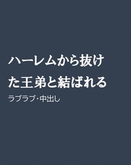 ハーレムから抜けた王弟と結ばれる [ほりのや]