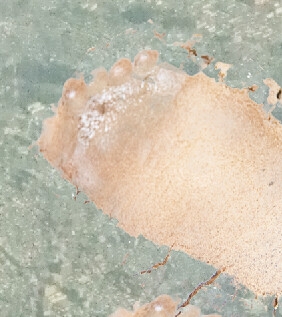 極小惑星の受難 [Sbartsoon]