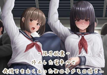 【限界脱糞】停止した電車内で我慢できなくなった女の子がその場で…(バイノーラル音声) [おもらし観察店]