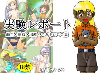 実験レポート [シンズ・システム]