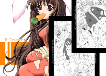 R.C.report [DARK CASTLE]