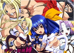 ギアっ娘捕縛 [草原市場]