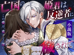 【小説版】亡国の姫君は反逆者に穢されて [リア☆カレ]