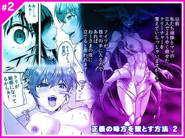 正義の味方を堕とす方法 2 [Marialite]