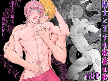 騎士と王子の秘密の夜 [Pink Shark]