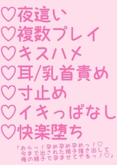 婚期を逃した独身サンタがトナカイ達(ガチムチイケメン)と夜○い子作り交尾する話 [hakozume]