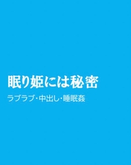 眠り姫には秘密 [ほりのや]