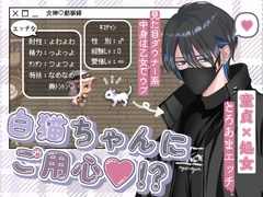 白猫ちゃんにご用心【小説版】 [女神♡戯事録]