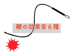 鞭の効果音6種セット [beyan]