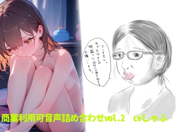 【素材】クリエイターさん向け!商業利用可音声素材2 [つんぽこ製作委員会]