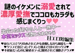 出会ったばかりなのに溺愛セックスで溺れちゃう……甘エロ短編集 [愛の奴隷]