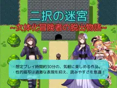 二択の迷宮～女体化冒険者の脱出物語～
