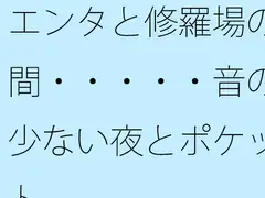 エンタと修羅場の間・・・・・音の少ない夜とポケット