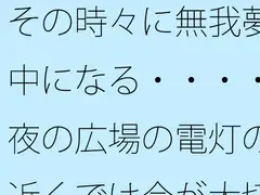その時々に無我夢中になる・・・・夜の広場の電灯の近くでは今が大切