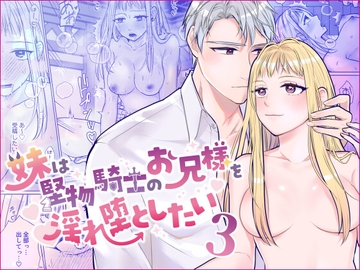 妹は堅物騎士のお兄様を淫れ堕としたい3 [bozzolo]