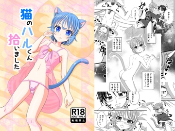 猫のハルくん拾いました [夜の青色喫茶]