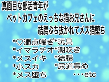真面目な部活青年がペットカフェのえっちな猫お兄さんに結腸ぶち抜かれてメス猫堕ち [マイペース革命]