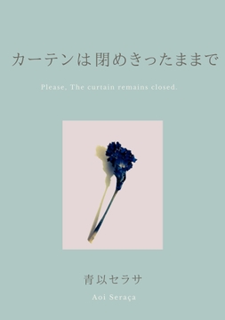 カーテンは閉めきったままで [セラサ図書館]