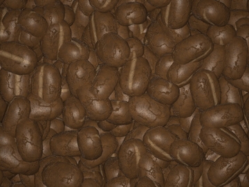 珈琲豆画像 [Visha]