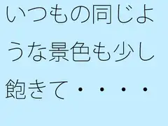 いつもの同じような景色も少し飽きて・・・・・