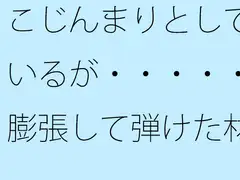 こじんまりとしているが・・・・・膨張して弾けた材料