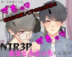 あなたを愛してやまない兄弟とずちゅずちゅNTR3Pあまとろえっちする音声 [超絶清楚坂製作所]