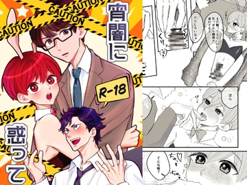 宵闇に惑って [風想工房]