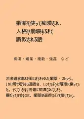 媚薬オレンジシリーズ 人格崩壊媚薬調教 遥香編