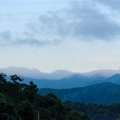 纯肉NONONO [道观传媒]