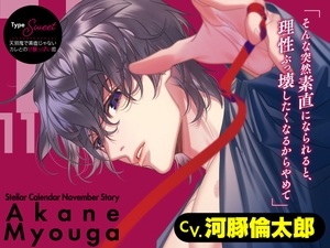 【CV.河豚倫太郎】Stellar Calendar(ステカレ)～November Story～ [ラミナプラネット]