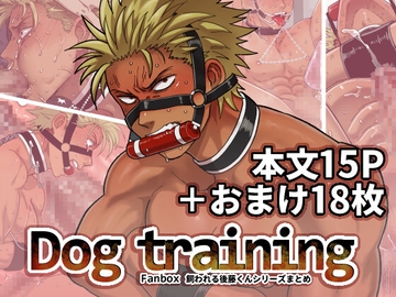 DOG TRAINING [旅に出ます]