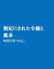 側妃にされた令嬢と義弟 [ほりのや]