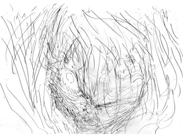 キバケンジモノガタリショウガクセイヘンダイニジュウニワ [キバケンジ]