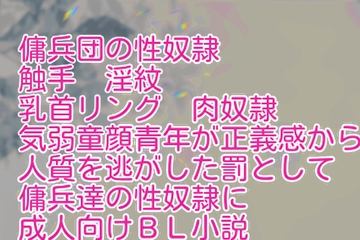 傭兵団の性奴○ [彩愛]