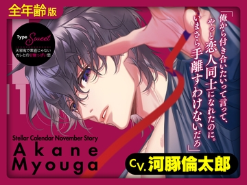 【繁體中文版】【全年齡版】Stellar Calendar(Stellar日曆男友)～November Story～【CV.河豚倫太郎】 [大家一起來翻譯]