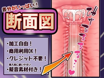 差分がいっぱい！断面図 [きつねの素材屋さん]