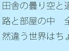 田舎の曇り空と道路と部屋の中 全然違う世界はちょっとだけ向こうにある・・・