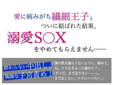 愛に病みがち繊細王子とついに結ばれた結果、 溺愛S◯Xをやめてもらえません…… [美波]