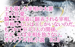 王を愛した宰相の大罪 [彩愛]