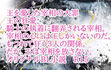 王を愛した宰相の大罪 [彩愛]