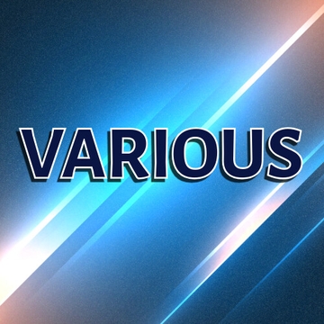 VARIOUS [露天風呂]